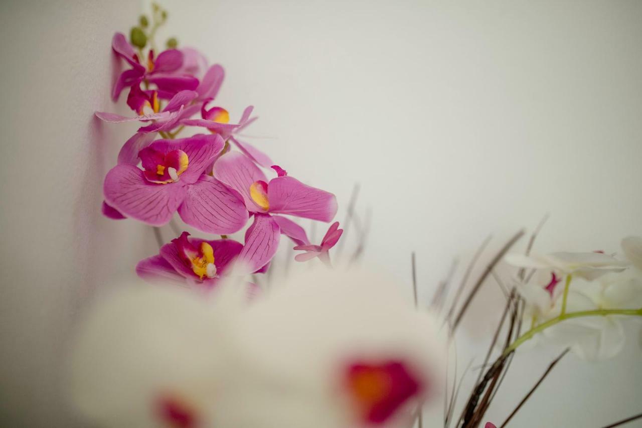 拉布Lili Rab公寓 外观 照片